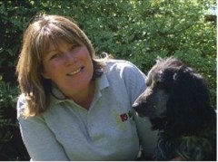 K9 Trails Bickerton Point, Chelmsford Essex Logo 