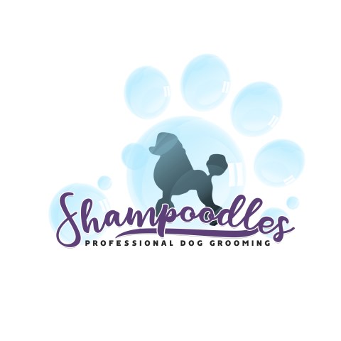 Shampoodles