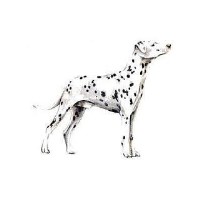 Muckypupz Midsomer Norton Somerset Logo 