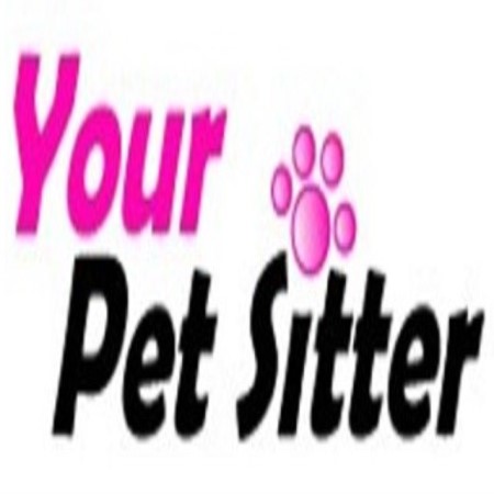 Your Pet Sitter