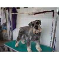 Tails Of Wigborough Great Wigborough, Colcheser Essex Logo 