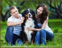 Animal Country Club Ongar Essex Logo 