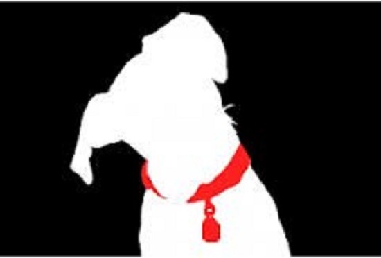 It's All About The Dog