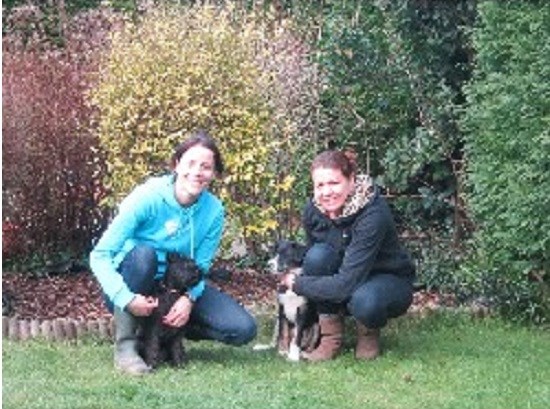 Barkin'mad Dog Walkers