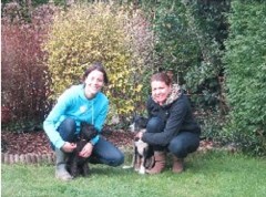 Barkin'mad Dog Walkers Barnstaple Devon Logo 