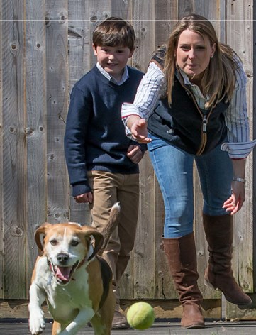 Ledbury Lodge Kennels