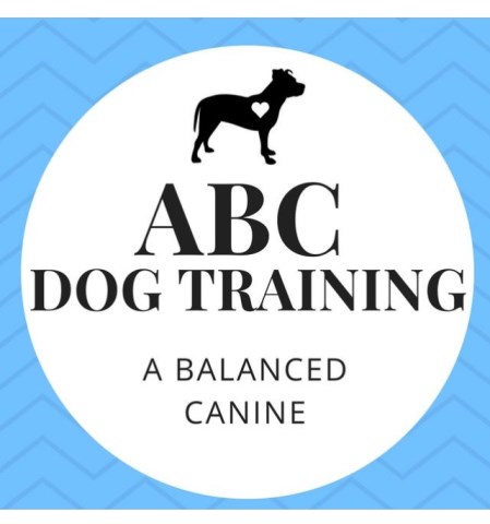 ABC Dog Training : A Balanced Canine