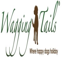 Wagging Tails Fordingbridge Hampshire Logo 