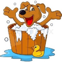 Posh Wash Greenhithe Kent Logo 