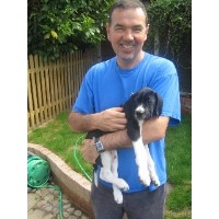 Petpals Heybridge Essex Logo 