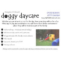 Terrington Doggy Daycare King`s Lynn Norfolk Logo 