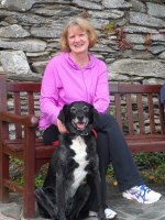 Derwent Valley Animal Sitting Oker, Nr. Matlock Derbyshire Logo 