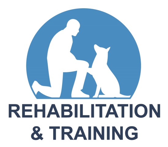 Rehabilitation and Training