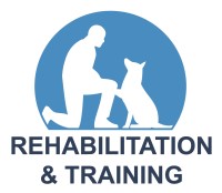 Rehabilitation and Training Colchester Essex Logo 