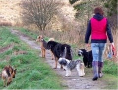 Happy Hounds Helensburgh Argyll and Bute Logo 