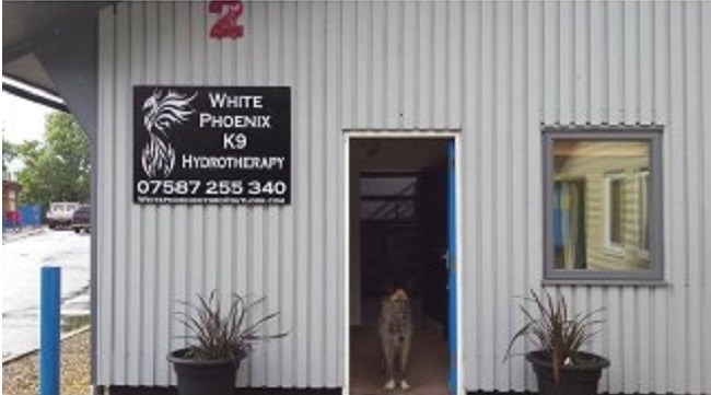 White Phoenix K9 Hydrotherapy