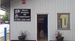 White Phoenix K9 Hydrotherapy Strensham, Worcester Worcestershire Logo 