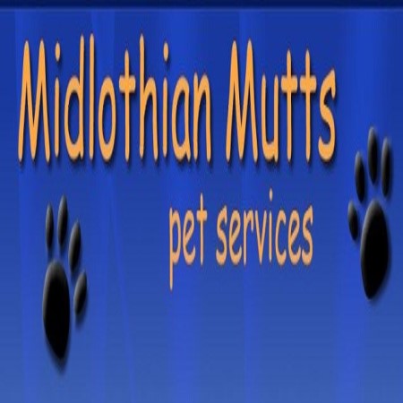 Midlothian Mutts Dog Walking/day Care/boarding