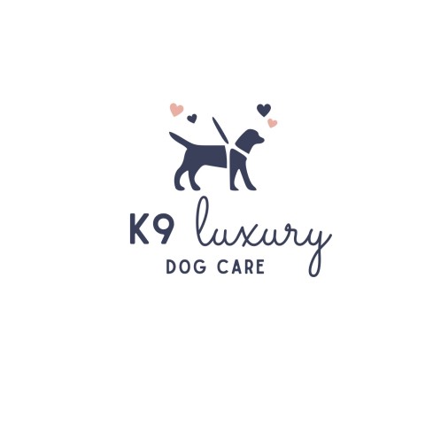 K9 luxury dog care