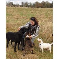 Jo's Dog Walking High Wycombe Buckinghamshire Logo 