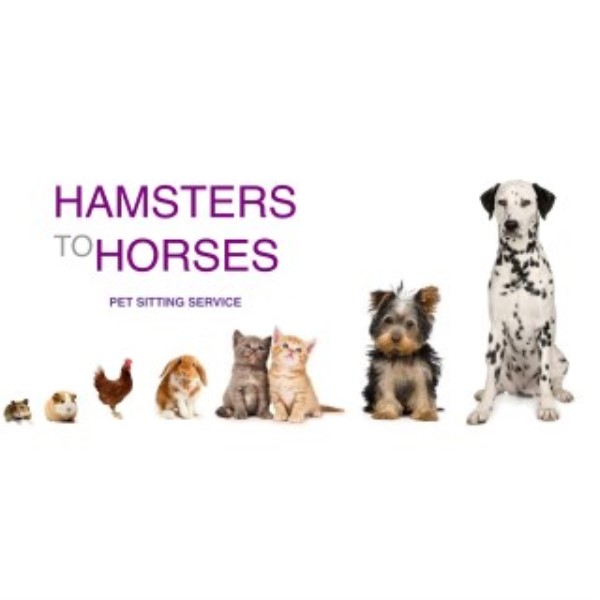 Hamsters to Horses