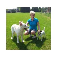 Pets And Pals Dunstable Bedfordshire Logo 