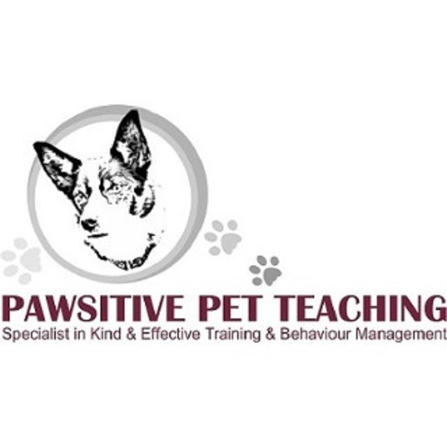 Pawsitive Pet Teaching