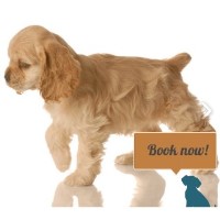 Becky's Pet Care Service Luton Hertfordshire Logo 