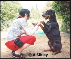 Go Fetch Fido! Leighton Buzzard Bedfordshire Logo 