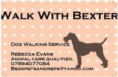 Walk With Bexter Willenhall West Midlands Logo 