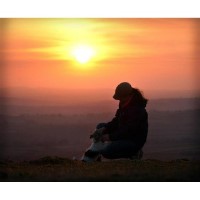 Camilla's petstting Clearbrook Devon Logo 