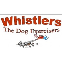 Whistlers the Dog Exercisers Winchester Hampshire Logo 