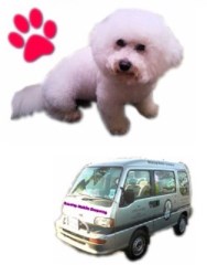 Brontay Dog Grooming Bridgnorth Shropshire Logo 