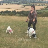 GLR Services Aylesbury Buckinghamshire Logo 