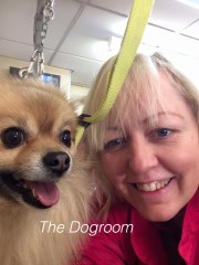 The Dogroom Cheadle Hulme Cheshire Logo 