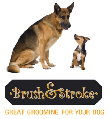 Brush & Stroke