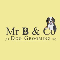 Mr B & Co Dog Grooming Wrexham Flintshire Logo 