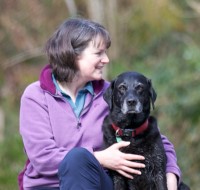 The Dog Academy Porlock Somerset Logo 