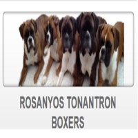 Designer Dogs Penryn Cornwall Logo 