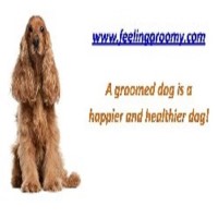 Feeling Groomy Bromley Greater London Logo 