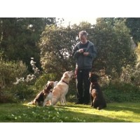 Country Tails Stroud Gloucestershire Logo 