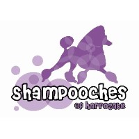 Shampooches of Harrogate Harrogate North Yorkshire Logo 