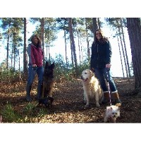 Wildmoor Walkies Dog Walking  and Pet Care Service, Crowthorne Crowthorne Berkshire Logo 