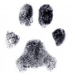 Twoofus Dog Grooming Minehead Somerset Logo 