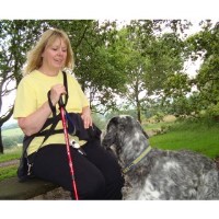 We Get The Dogs Out Bumblehole Meadows, Wombourne Staffordshire Logo 