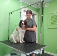 Pawsitively Purrfect Pet Services Port Glasgow Renfrewshire Logo 