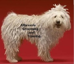 Allbreeds Grooming And Training Tonypandy Rhondda Cynon Taf Logo 