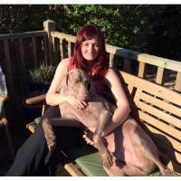 My Animal Matters Witney Oxfordshire Logo 