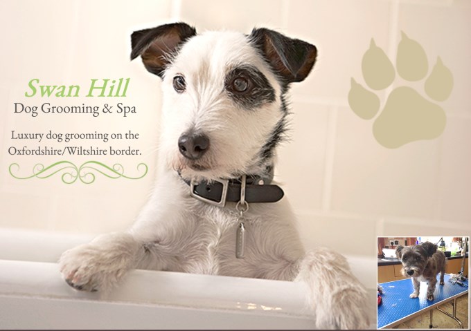 Swan Hill Dog Grooming