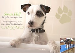 Swan Hill Dog Grooming Shrivenham Oxfordshire Logo 